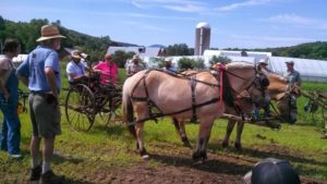 IMG_20140712_104506_959