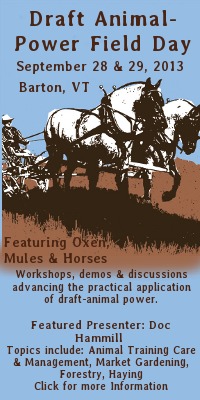 Draft Animal Power Field Days