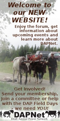 Welcome to the new DAPNet Website!